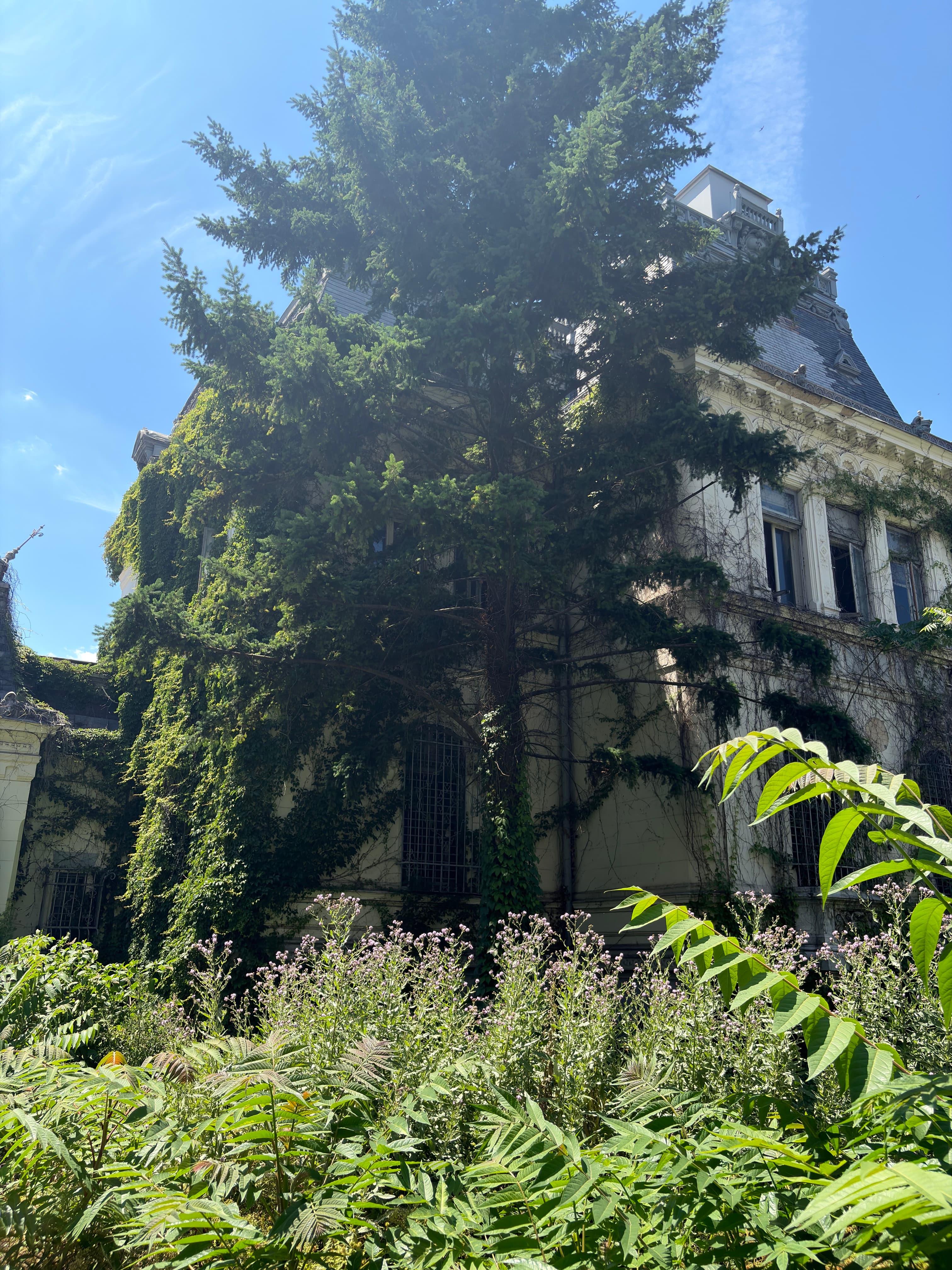 Palatul Maurice Blank