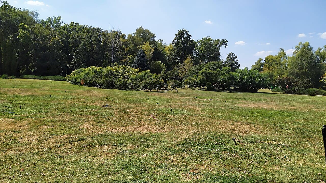 Parcul Regele Mihai I (Herastrau)